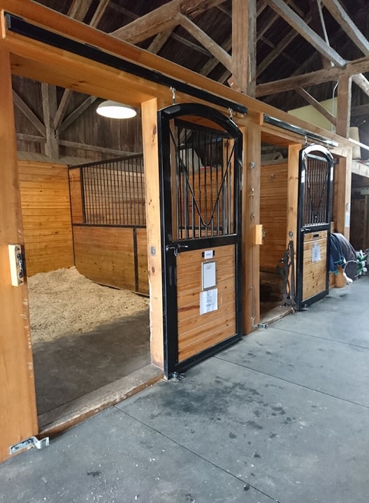 Anderson Equine
